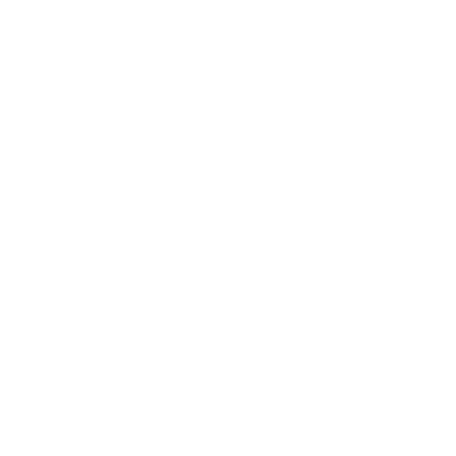 Fortune